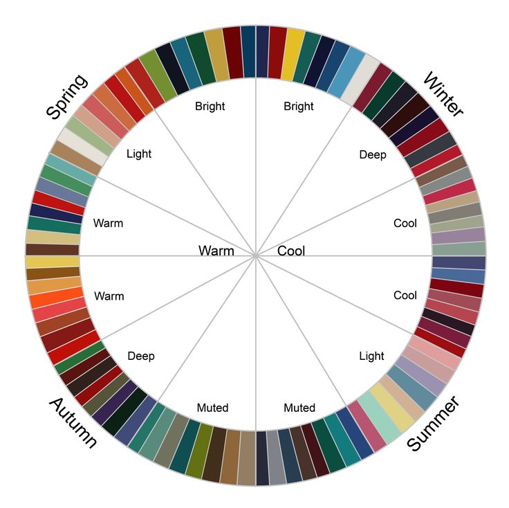 a color wheel with different colors and names in each section, including red, yellow, green, blue, orange, and white