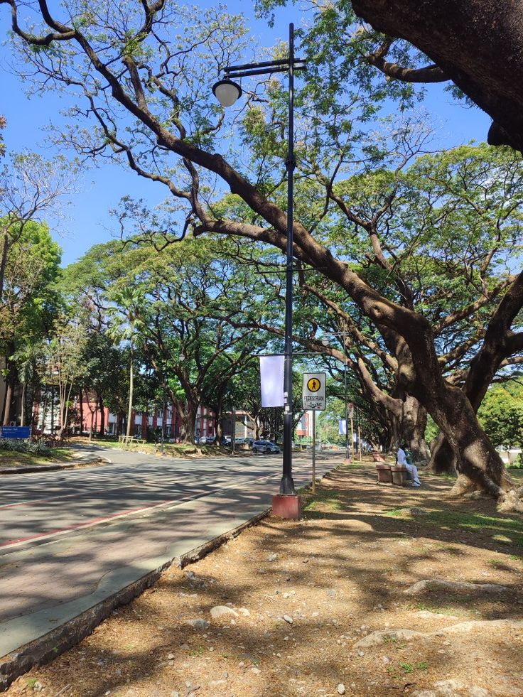 an empty street with no cars on it and trees lining the sides of the road