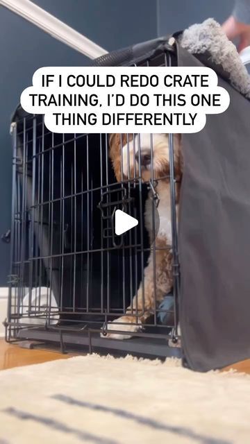 a dog in a cage with the caption if i could redo crate training, i'd do this one thing differently