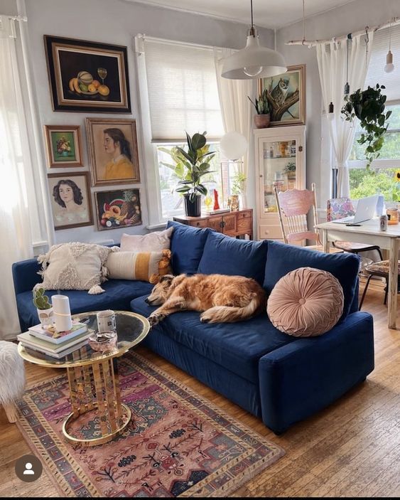 a dog laying on top of a blue couch in a living room next to a table