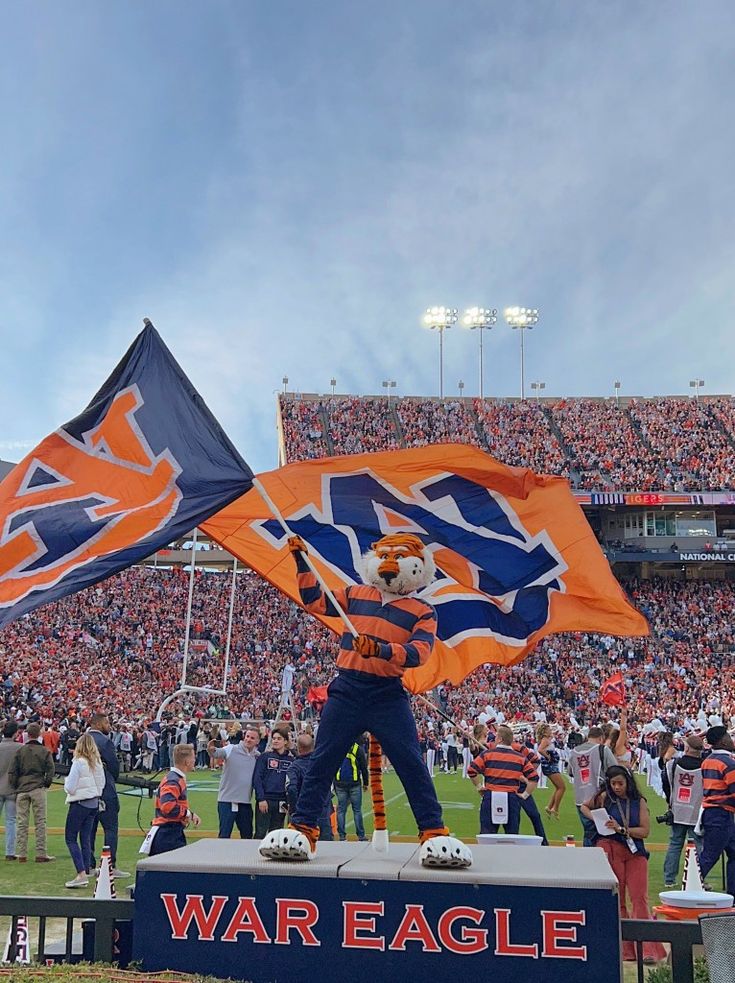 an orange and blue mascot holding a flag on top of a football field