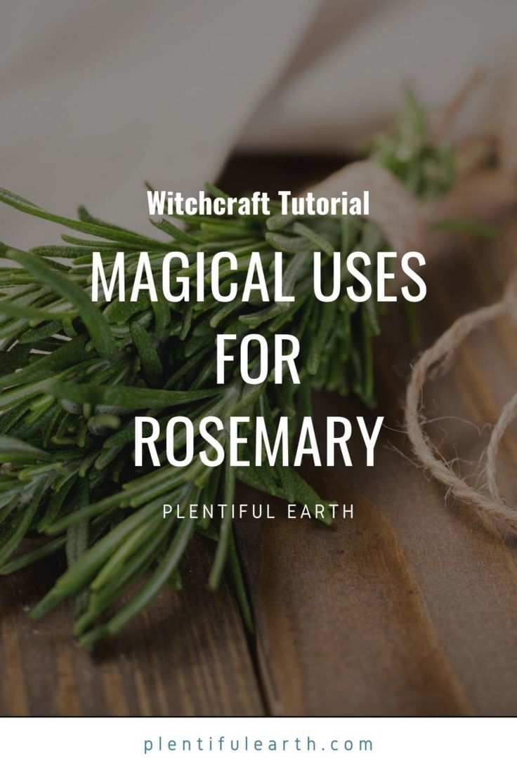 Rosemary Uses Witch, Rosmary Magic Properties, Rosemary Spiritual Uses, Rosemary Magical Properties, Rosemary Witchcraft Uses, Rosemary Spell, Rosemary Witchcraft, Rosemary Magic, Burning Rosemary