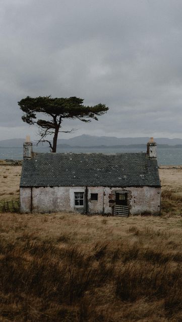 an old abandoned house with a tree on the roof and grass in front of it