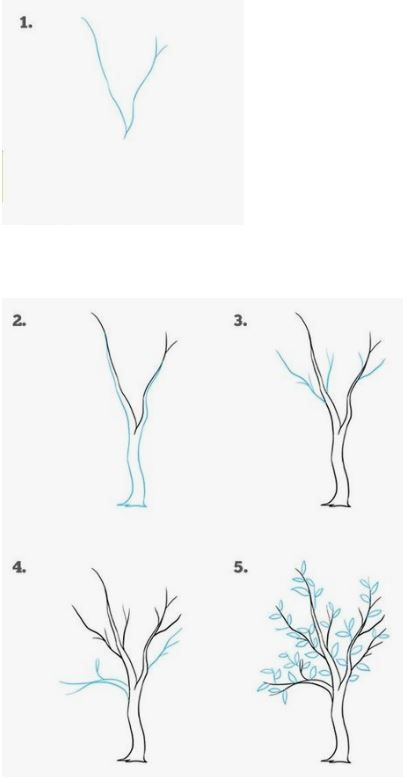 how to draw a tree without leaves