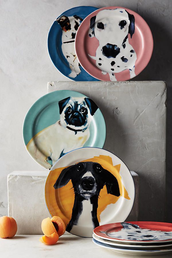 four plates with dogs on them sitting next to each other in front of a gray wall