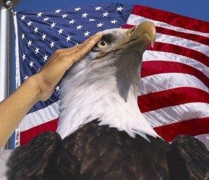 an eagle is being petted by a person with the american flag in the background