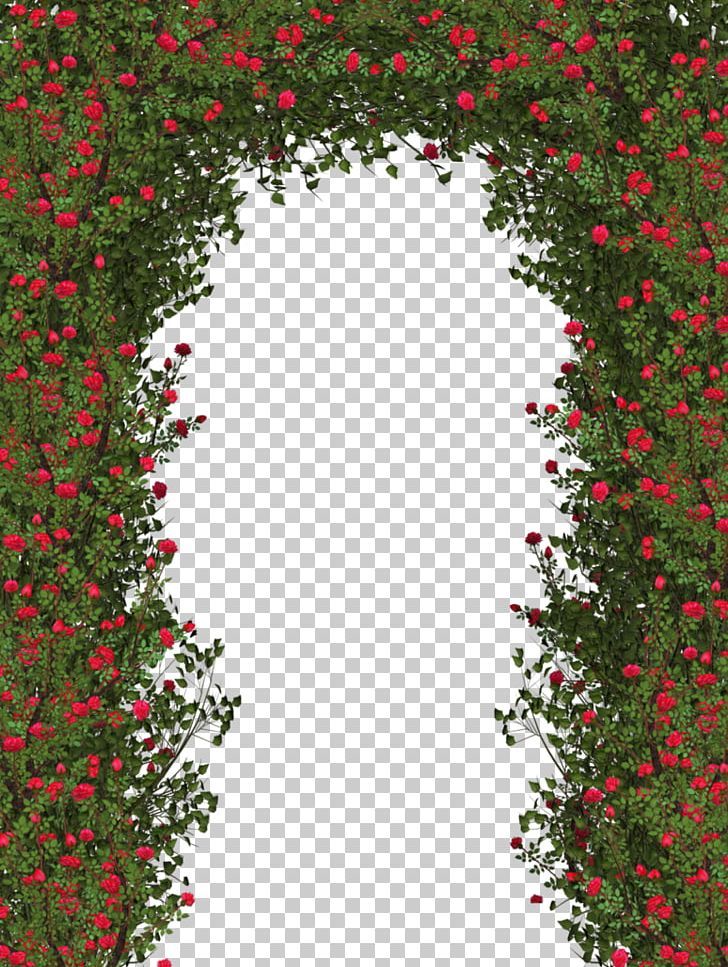 an arch made out of vines and red flowers on a white background with transparent backround