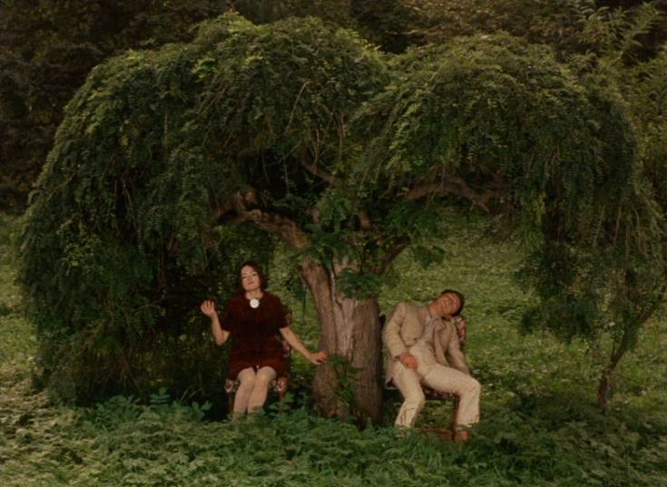 two people are sitting under a tree in the grass and one person is standing next to it