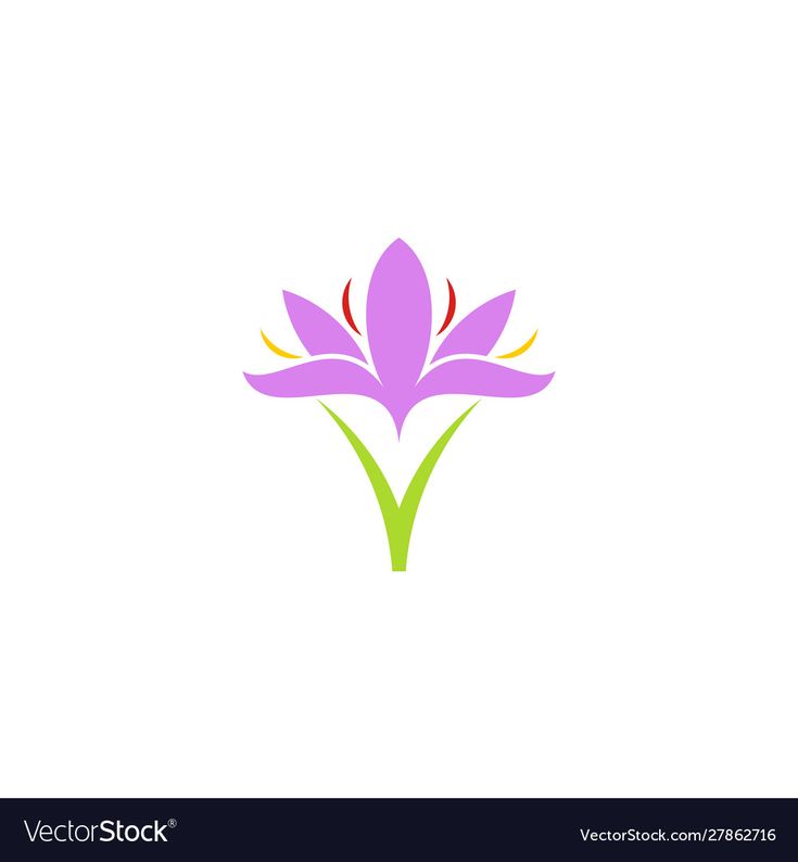 purple flower with green leaves on white background logo design for business card or brochure