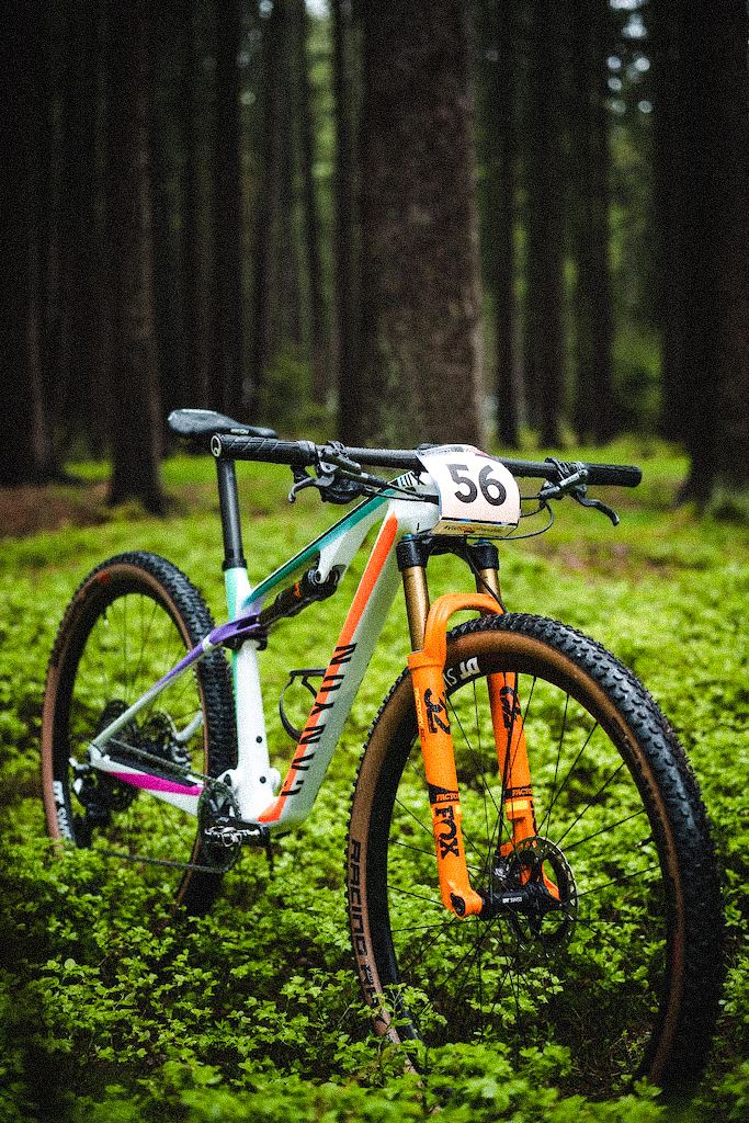 a bike parked in the middle of a lush green forest