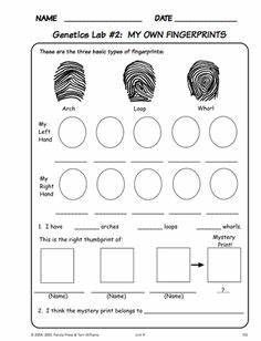 a printable worksheet with fingerprints on it