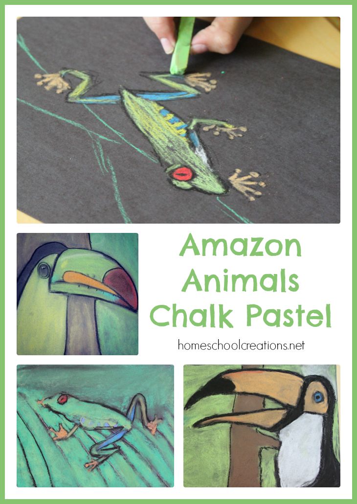 an image of children's artwork with the words amazon animals chalk pastel