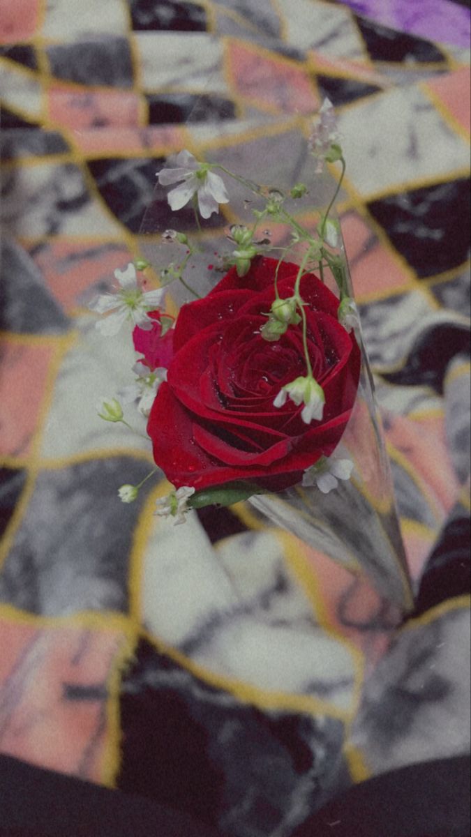 a single red rose in a clear vase on a checkered tablecloth with white flowers