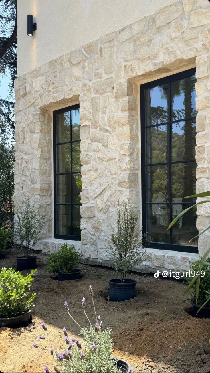 an outside view of a house with two windows and plants in the front yard area