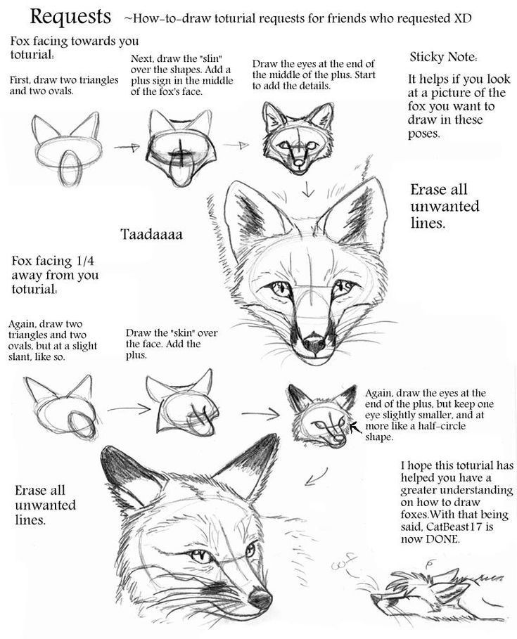 an animal's head is shown with instructions for how to draw the fox and other animals