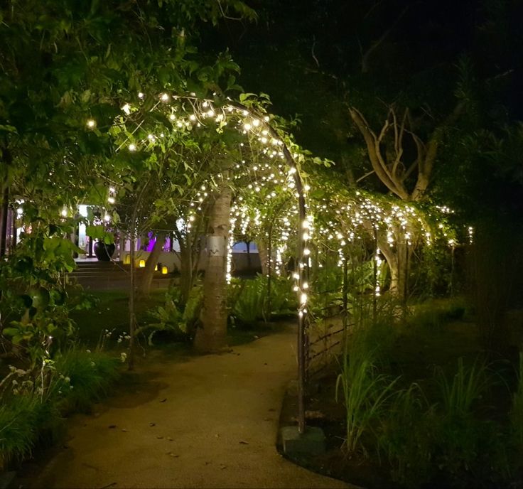 a walkway with lights on the trees and bushes around it at night time in a garden