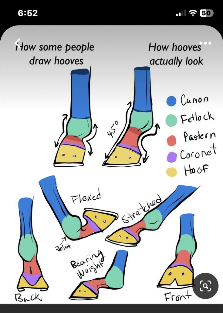 an app showing how to draw shoes with different colors and shapes on the bottom right hand side