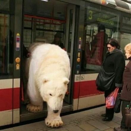 a large white polar bear standing on top of a train platform next to people with luggage