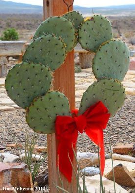 a cactus with a red bow on it