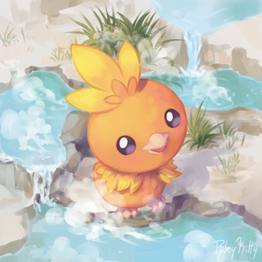 a digital painting of a little bird in the water