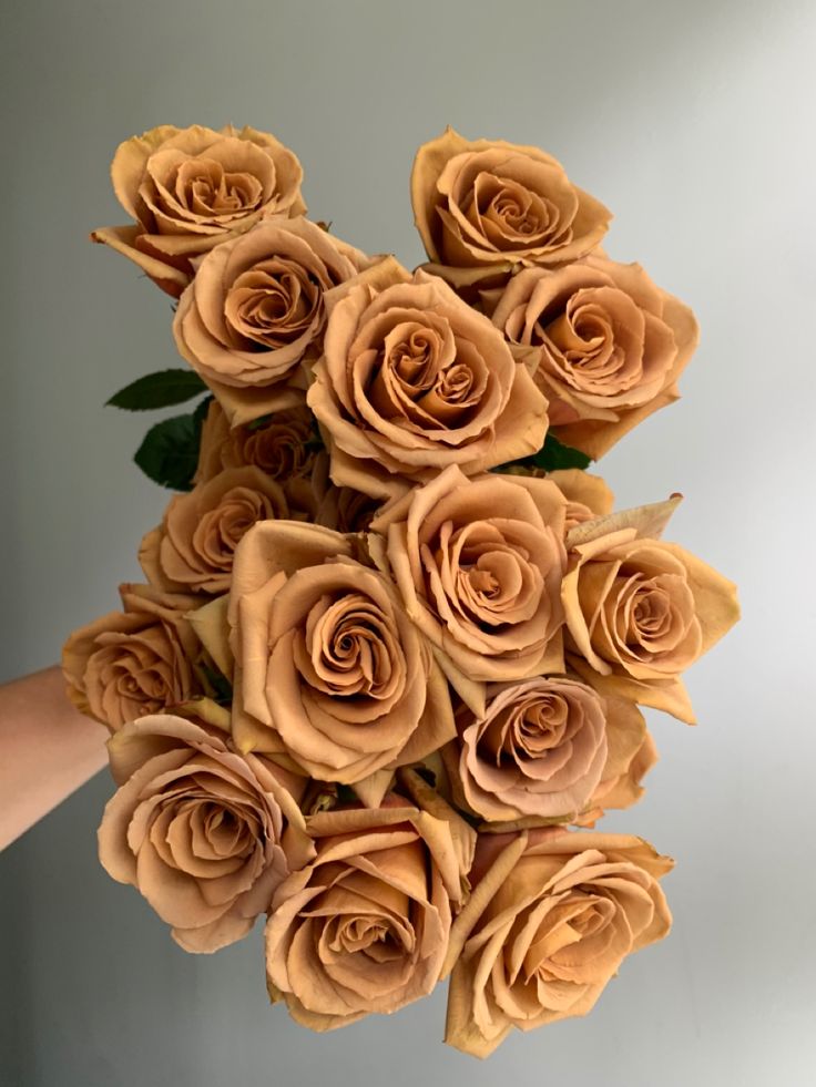 a person holding a bouquet of brown roses