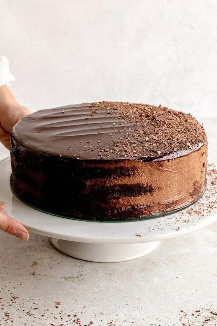 a person holding a chocolate cake on a plate