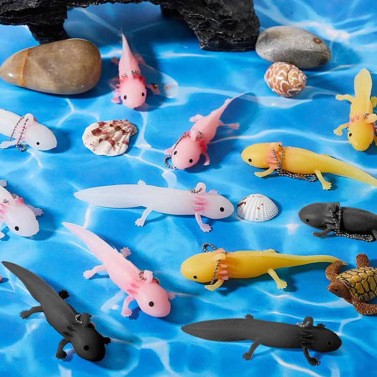 many different types of toy animals in the water