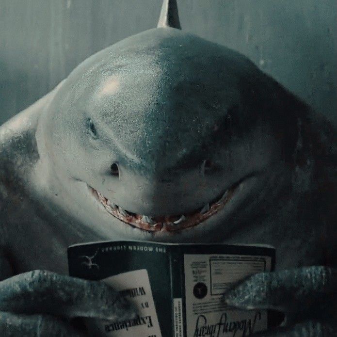 a shark is reading a book with its mouth open