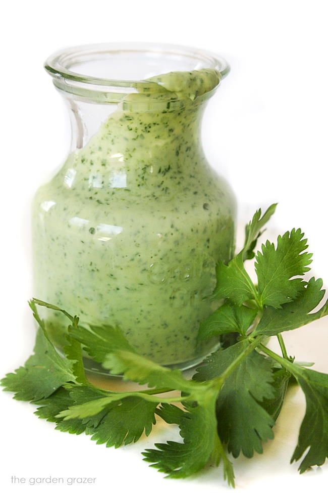 a glass jar filled with green sauce and garnished with cilantro