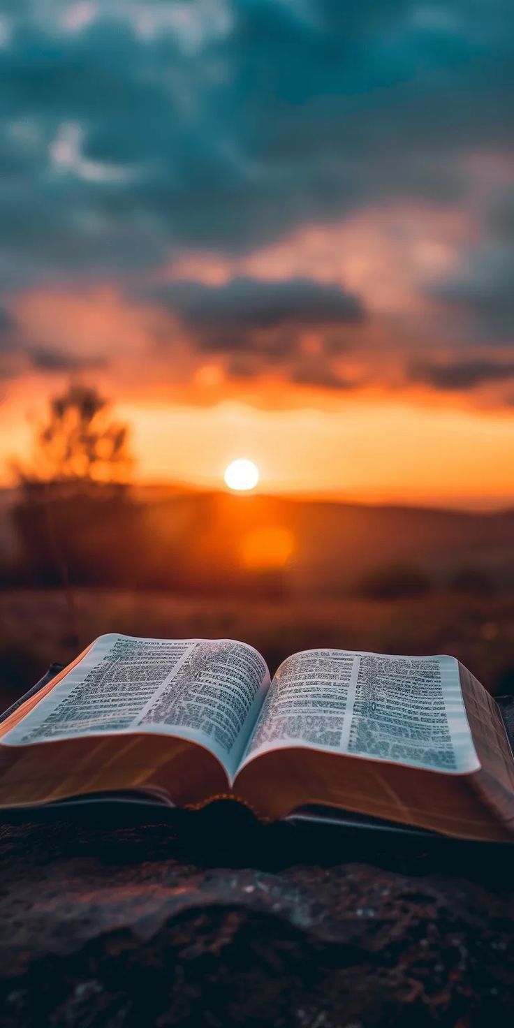 an open book sitting on top of a rock near the ocean at sunset or sunrise