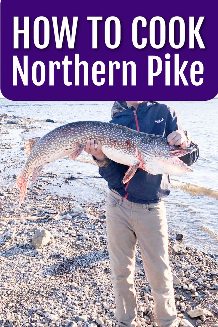 a man holding a fish on the shore with text overlay that reads how to cook northern pike