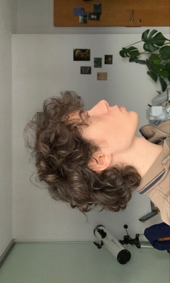 Cute Curly Mullet, Masculine Haircut Curly Hair, Mullet Hairstyle Curly Hair Men, Skater Mullet Curly, Curly Mullet Undercut, Short Shaggy Mullet Curly, Mullet Haircut Woman Curly, Mullet With Long Sides, Curly Mullet Masc