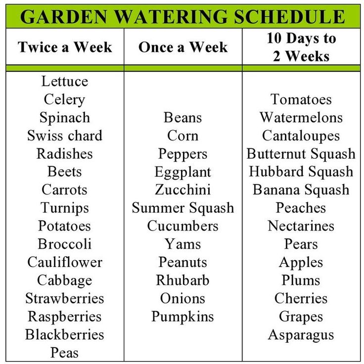 the garden watering schedule is shown in green and white, with two days to go