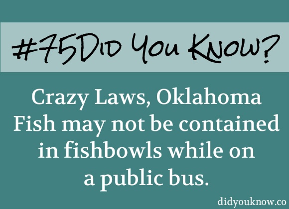 the words crazy laws, oklahoma fish may not be contained in fireworks while on a public bus