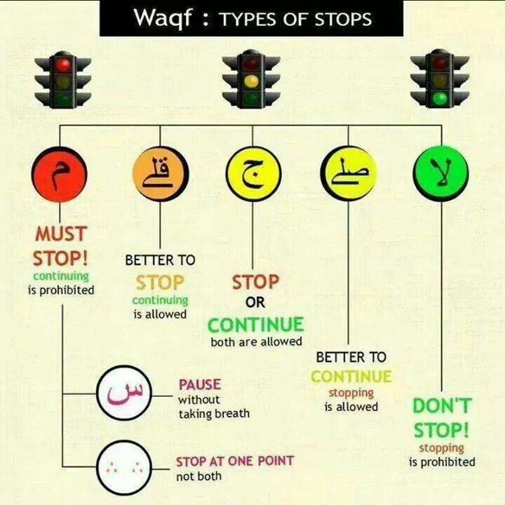 an info sheet describing the different ways to stop and how to use it for traffic lights