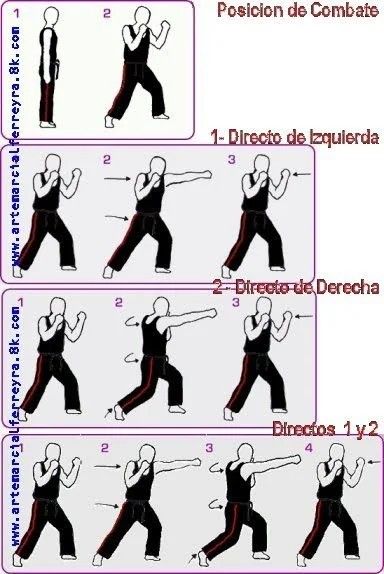 the instructions for how to do martial moves