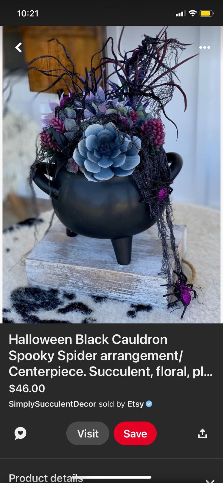 a black cauldron spooky spider arrangement with purple succulents