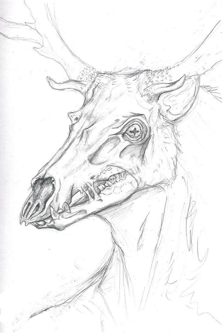 a pencil drawing of a deer's head with antlers on its face and horns