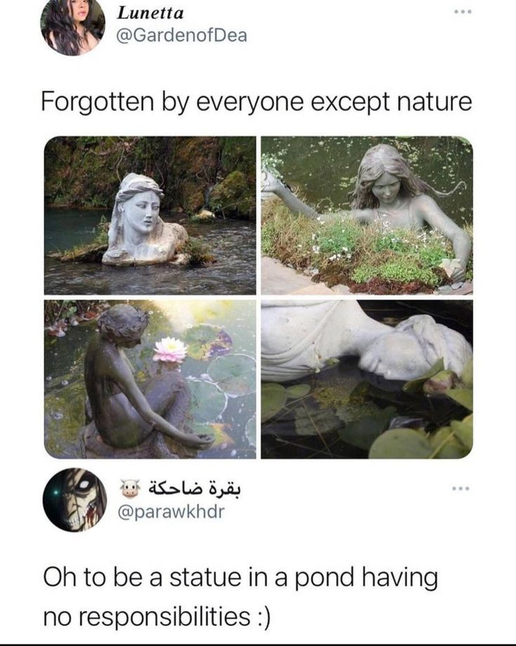 an image of four different pictures of people in the water with text that reads, forgotten by everyone except nature