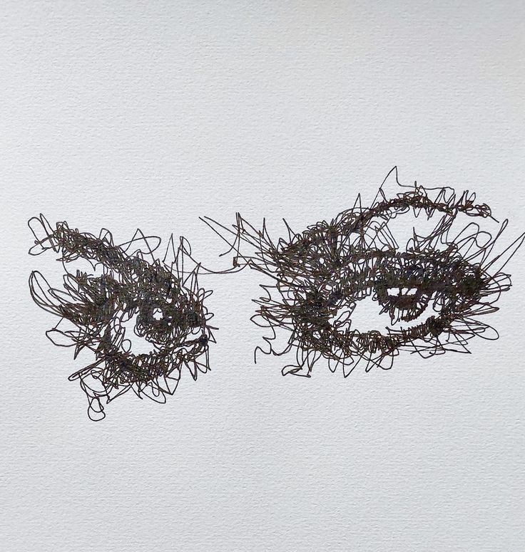 an artistic drawing of two eyes made out of wire