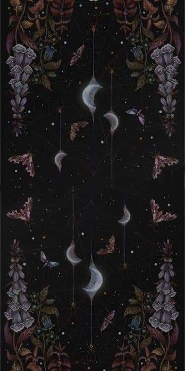 an image of the night sky with stars and moon on it, as well as flowers