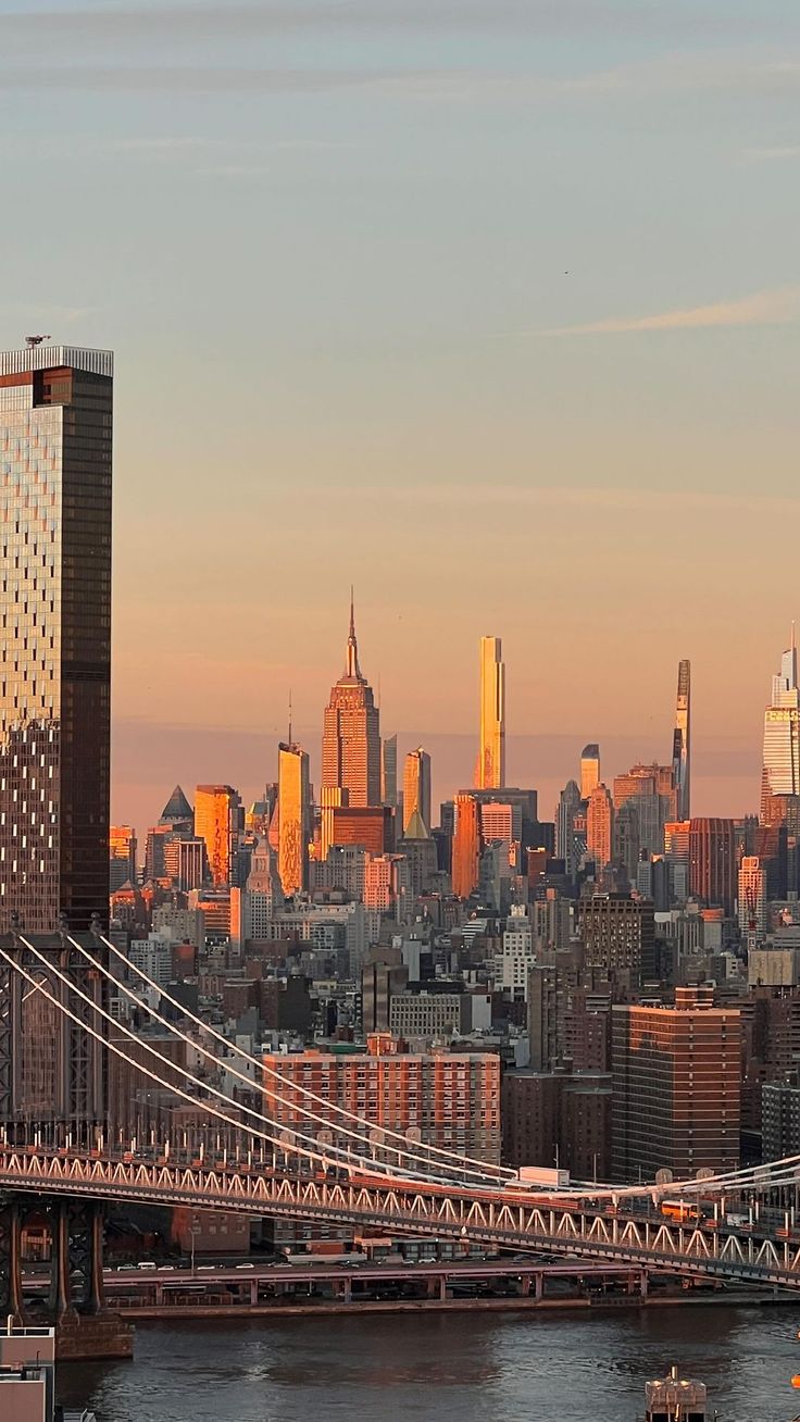 an airplane flies over the city skyline at sunset