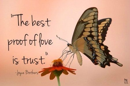 a butterfly sitting on top of a flower with a quote above it that says, the best proof of love is trust