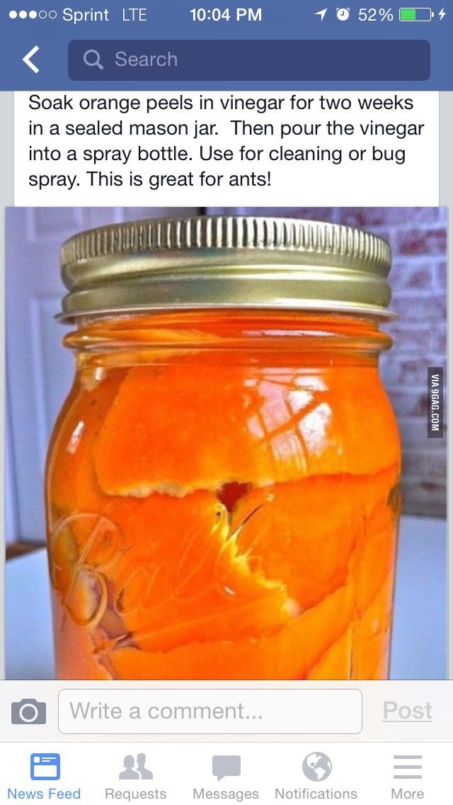 a jar filled with oranges sitting on top of a table