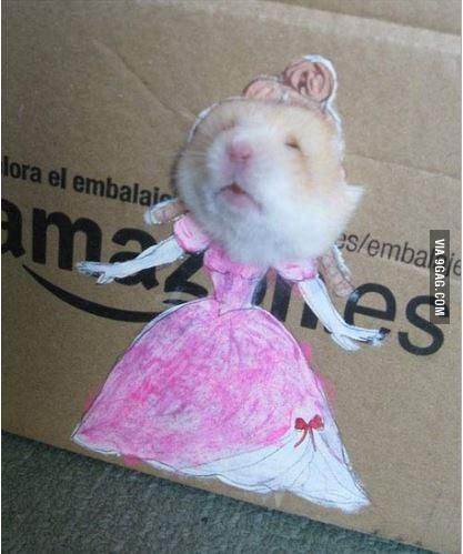 a paper cut out of a mouse in a pink dress and hat on top of a cardboard box