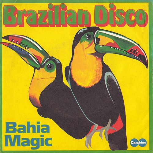 an advertisement for the brazilian disco featuring two toucans