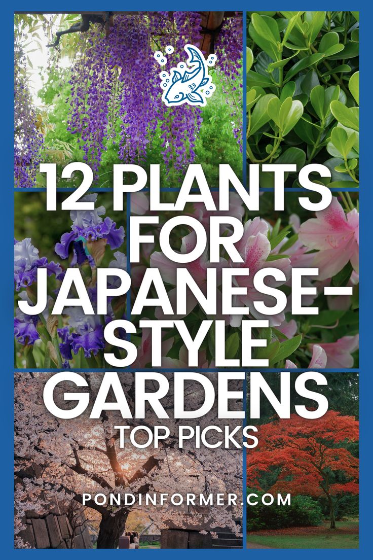 the top picks for plants in japanese style gardens, including purple flowers and green leaves