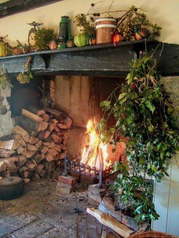 a fire place with logs and potted plants