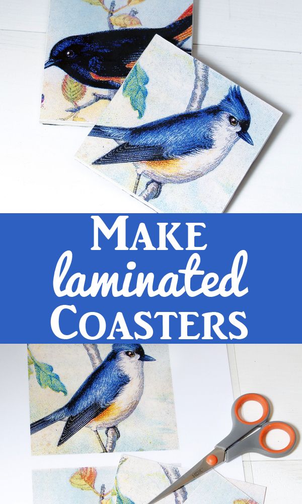 some cards that have birds on them and the words make laminated coasters