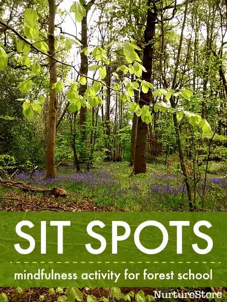 a forest with bluebells and trees in the background text reads, sit spots mindfulness activity for forest school